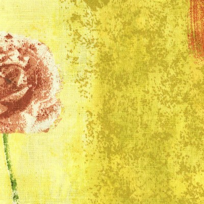 Kasmir WALSTON SPICE