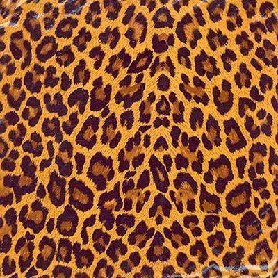 Kasmir WARDLAW TOBACCO