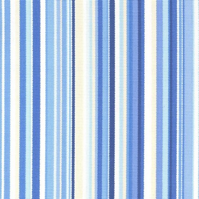 Kasmir WILLIAMS SURF