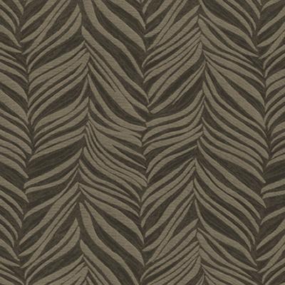 Kasmir Zebra Stripe IO Carbon