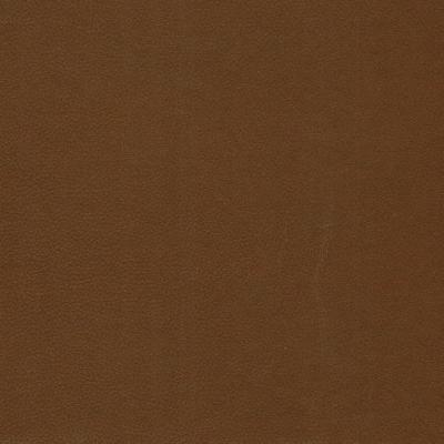 Kast Livingston Rawhide