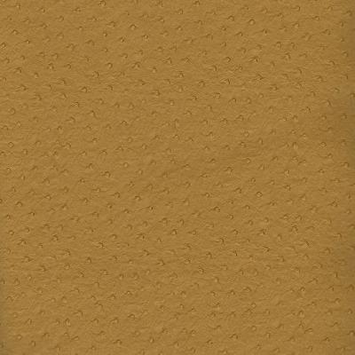 Kast Longview Golden