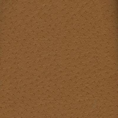 Kast Longview Rawhide