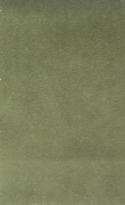 Kast Princess Milk-Chocolate