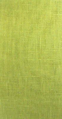 Kast Shamrock Cilantro