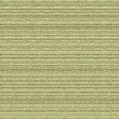 Kravet 30050 16