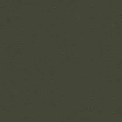 Kravet ULTRASUEDE GREEN 30787 330