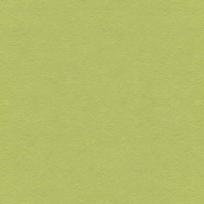 Kravet ULTRASUEDE GREEN 30787 333