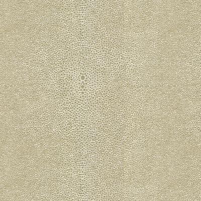 Kravet 32591 11