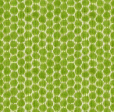 Kravet Dotkat 3