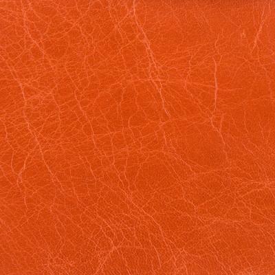 Kravet L HAUTE FLAME