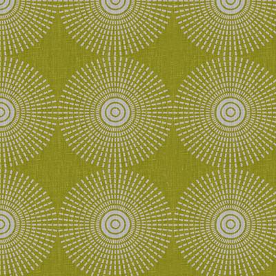 Kravet Super Nova 3 Spring
