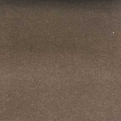 Lady Ann Fabrics Sahara Brown