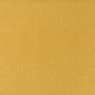 Lady Ann Fabrics Sahara Lion