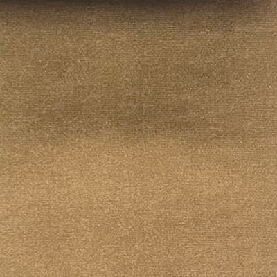 Lady Ann Fabrics Sahara Twig