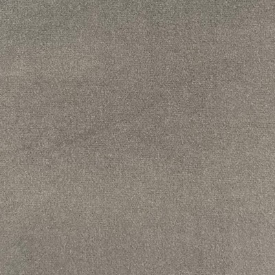 Lady Ann Fabrics Sahara Woodland