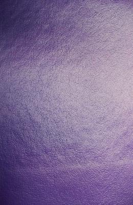 Lady Ann Fabrics Slicker Purple