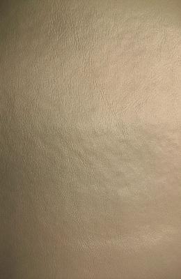 Lady Ann Fabrics Slicker Stone