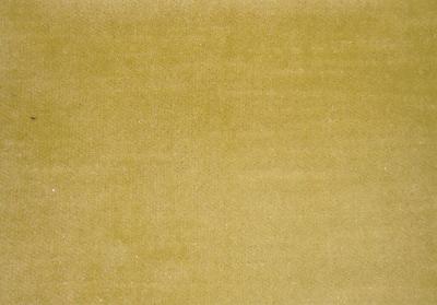 Latimer Alexander Cannes Cactus