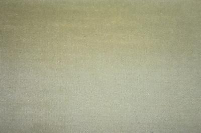 Latimer Alexander Cannes Celery