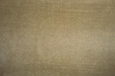 Latimer Alexander Cannes Dauphin