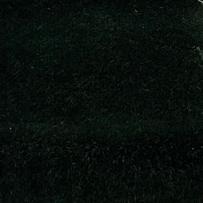 Latimer Alexander Cannes Forest