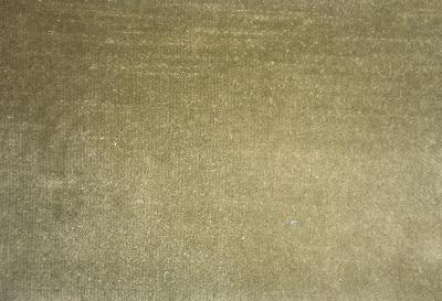 Latimer Alexander Cannes Lichen