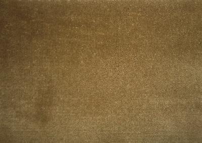 Latimer Alexander Cannes Mushroom