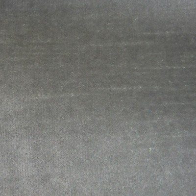 Latimer Alexander Cannes Stardust