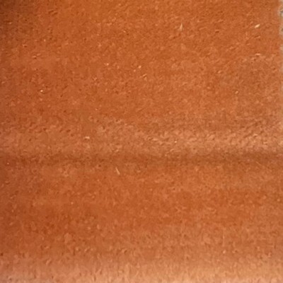 Latimer Alexander Cannes Tiger Lily