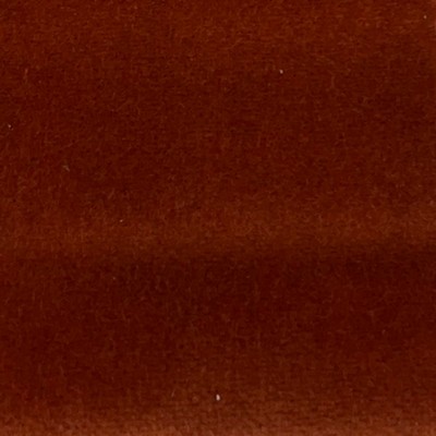 Latimer Alexander Como Shrimp