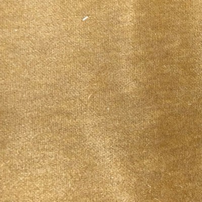 Latimer Alexander Corsica Harvest