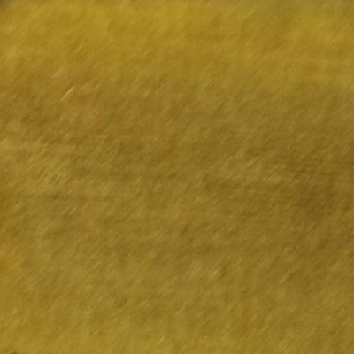 Latimer Alexander Milan Agave