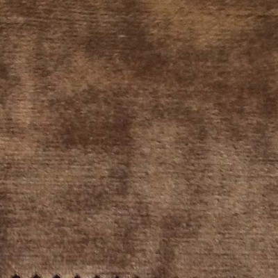 Latimer Alexander Milan Beechnut