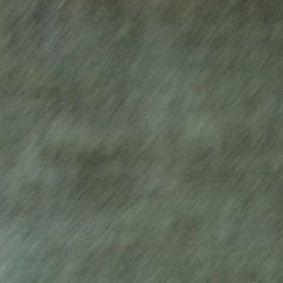 Latimer Alexander Milan Lichen