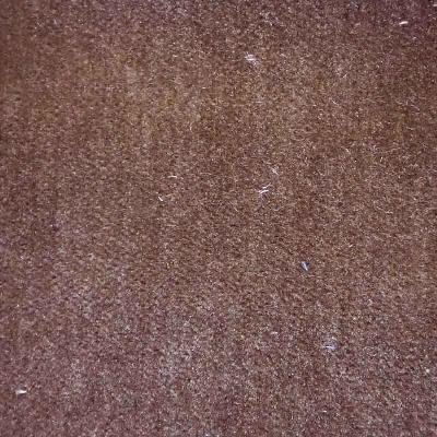 Latimer Alexander Faux Mo Beige