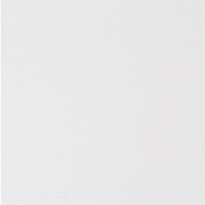 Lee Jofa Thatched Weave Resort White