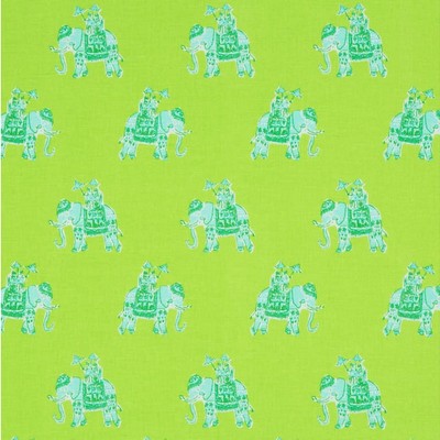 Lee Jofa Bazaar Lush Green