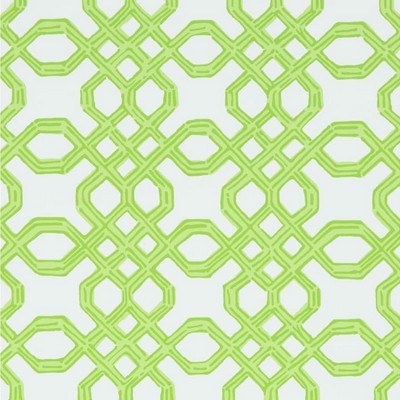 Lee Jofa Well Connected 31 Tini Green