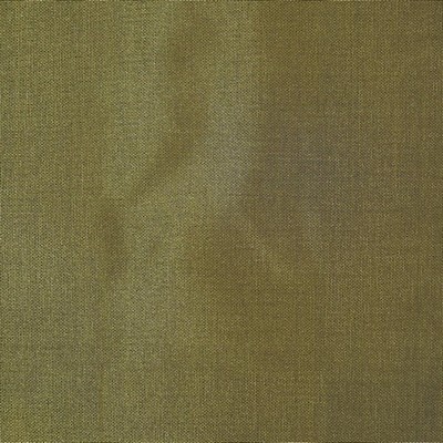 Libas International 400C 12 Fern