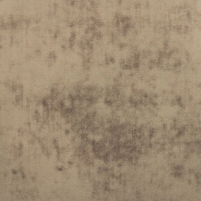 Magitex Capetown Latte