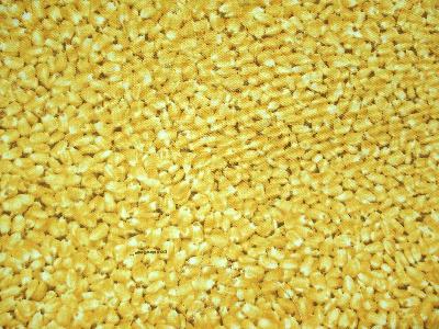 Marshall Dry Goods Corn Camouflage 
