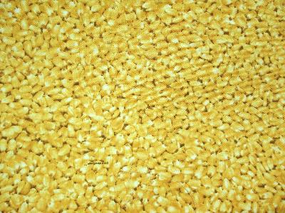 Marshall Dry Goods Corn Camouflage 