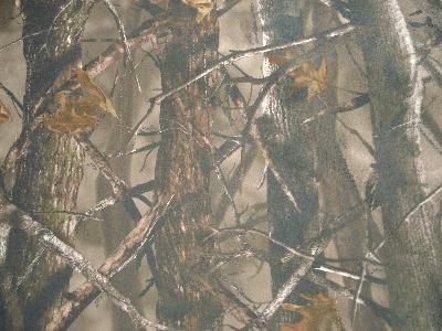 Marshall Dry Goods True Timber Camouflage 7 