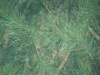 Marshall Dry Goods True Timber Camouflage Green Net 