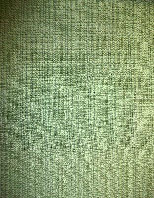 Meyer Bora Bora Fern