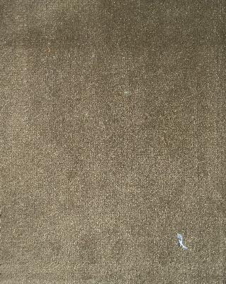 Michael Jon Designs Prima Chanterelle