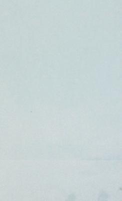 Michael Jon Designs Prima Pool