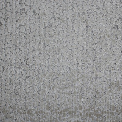 Mitchell Fabrics Forenza Oyster