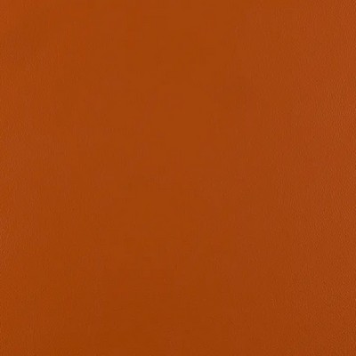 Mitchell Group Ace Carrot